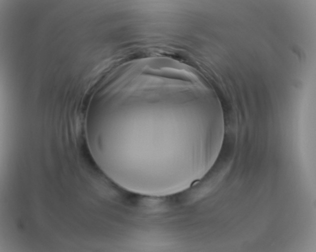 X0000113950139200910091616