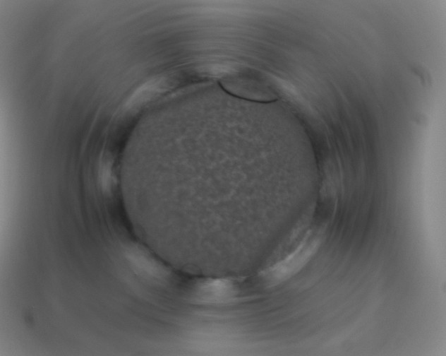 X0000113950140200910091616