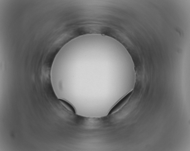 X0000113950141200910091616