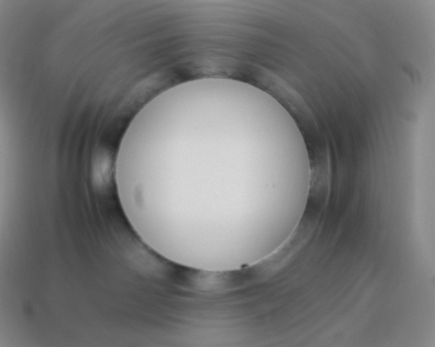 X0000113950142200910091616