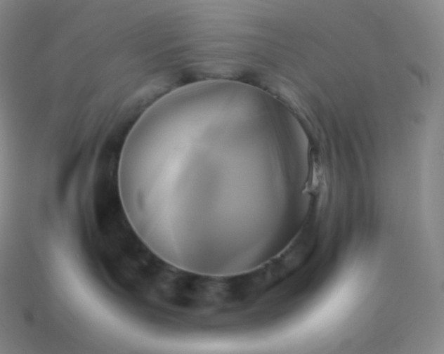 X0000113950143200910091616