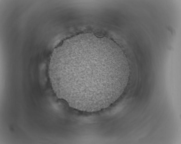 X0000113950144200910091616