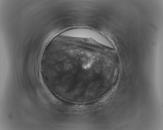 X0000113950145200910091616