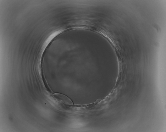 X0000113950147200910091616