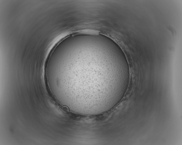 X0000113950148200910091616