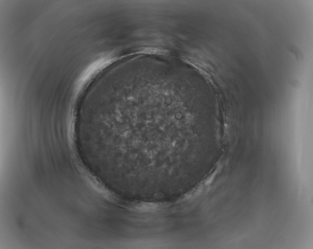 X0000113950149200910091616
