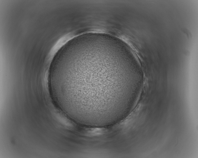 X0000113950151200910091616