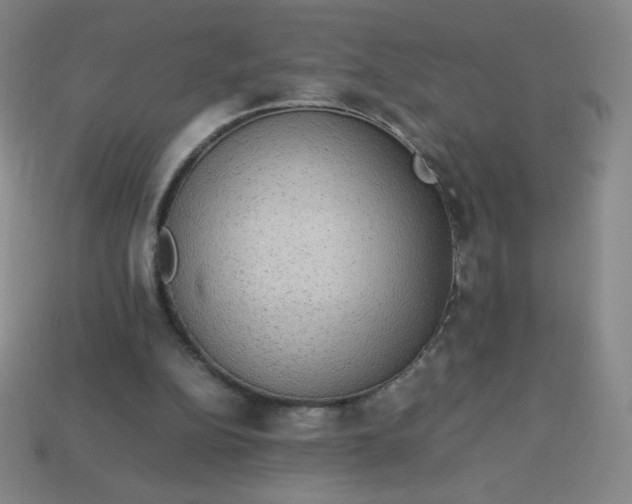 X0000113950152200910091616