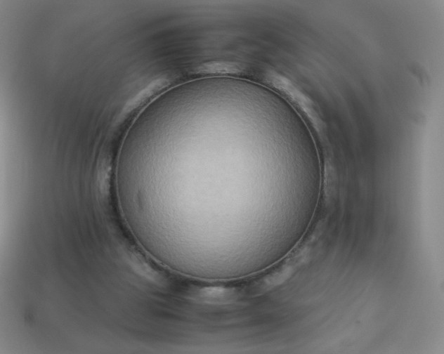 X0000113950153200910091616