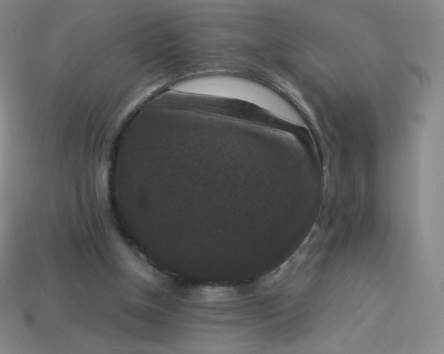 X0000113950154200910091616