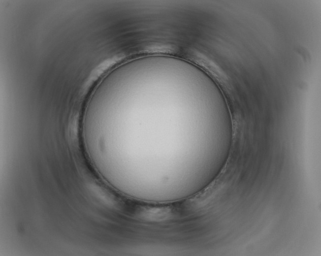 X0000113950155200910091616