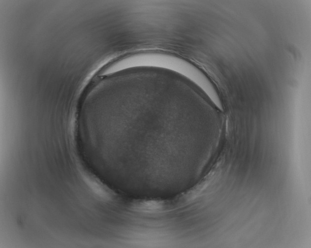 X0000113950156200910091616