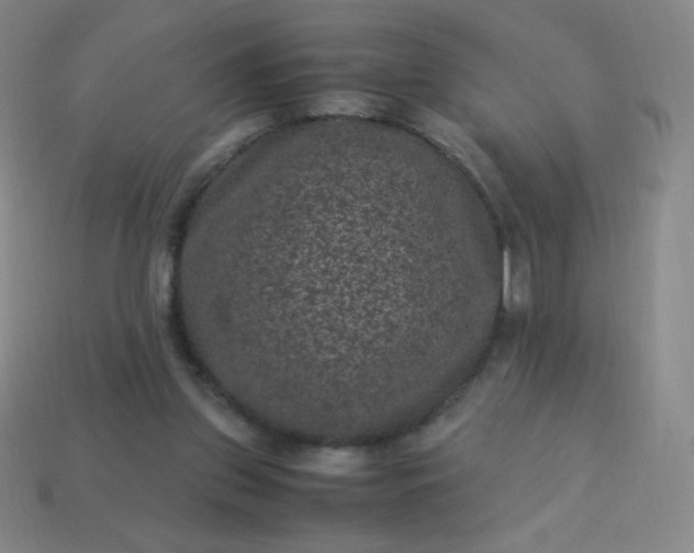X0000113950157200910091616