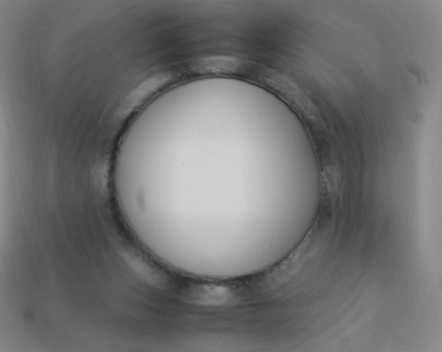 X0000113950159200910091616