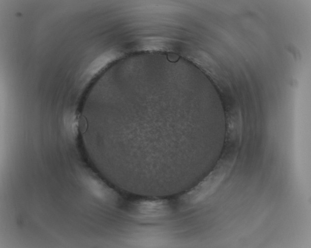 X0000113950160200910091616