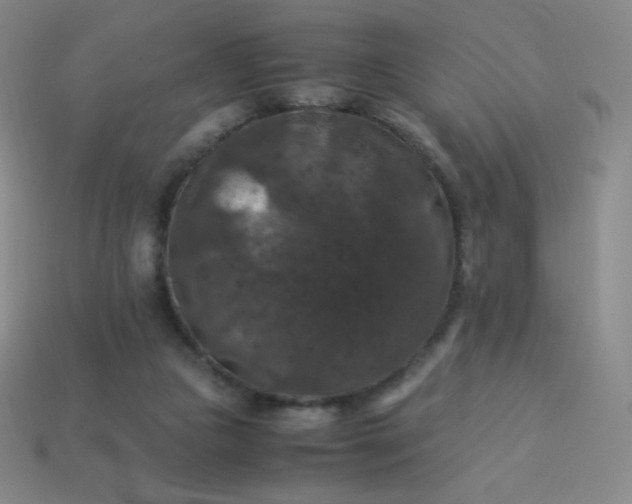 X0000113950161200910091616