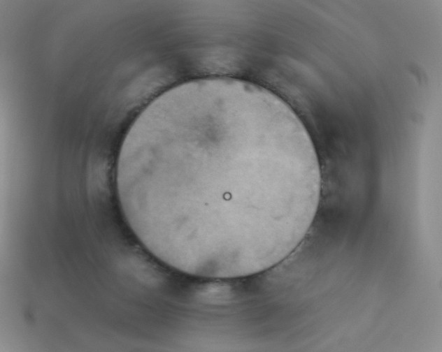 X0000113950162200910091616