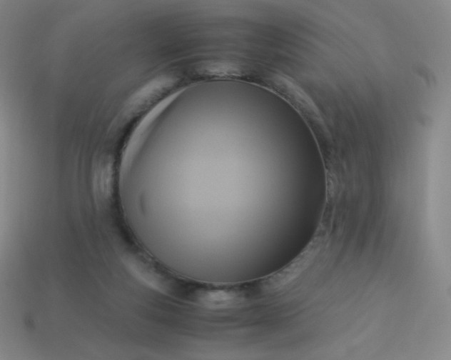 X0000113950163200910091616