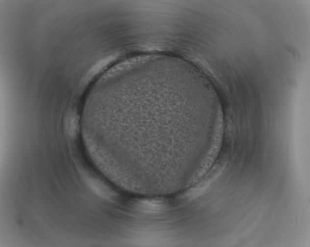 X0000113950164200910091616