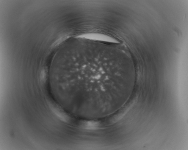 X0000113950165200910091616