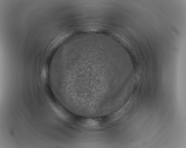 X0000113950166200910091616