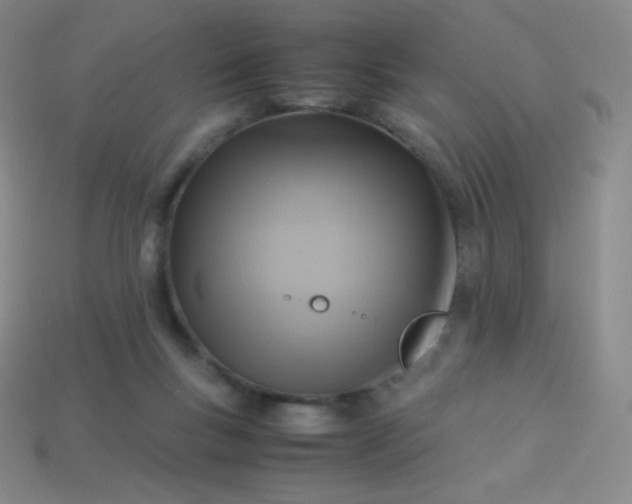 X0000113950167200910091616