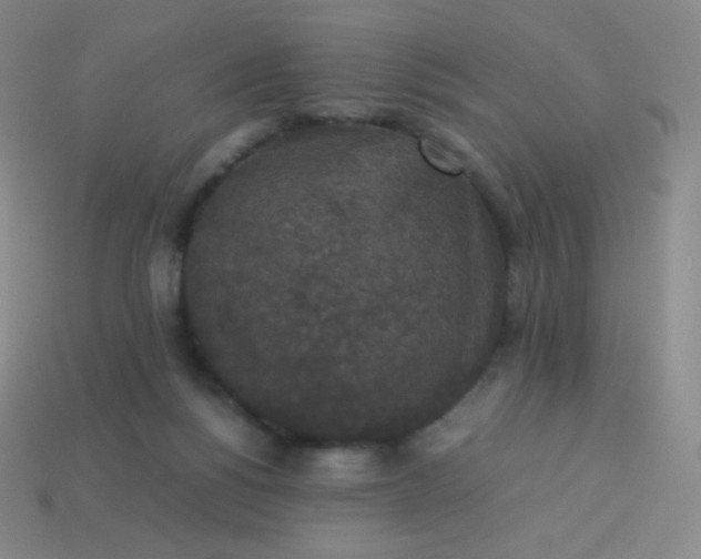 X0000113950168200910091616