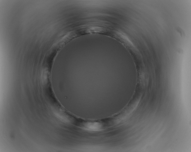 X0000113950169200910091616