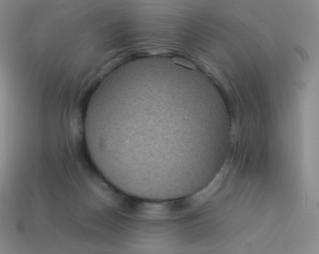X0000113950170200910091616