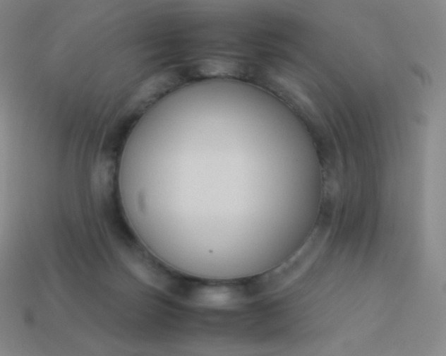X0000113950171200910091616