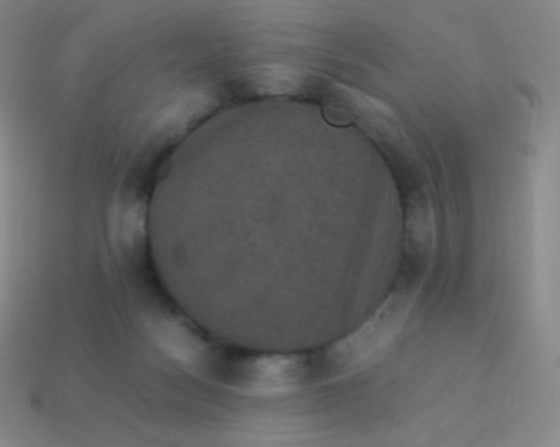 X0000113950172200910091616