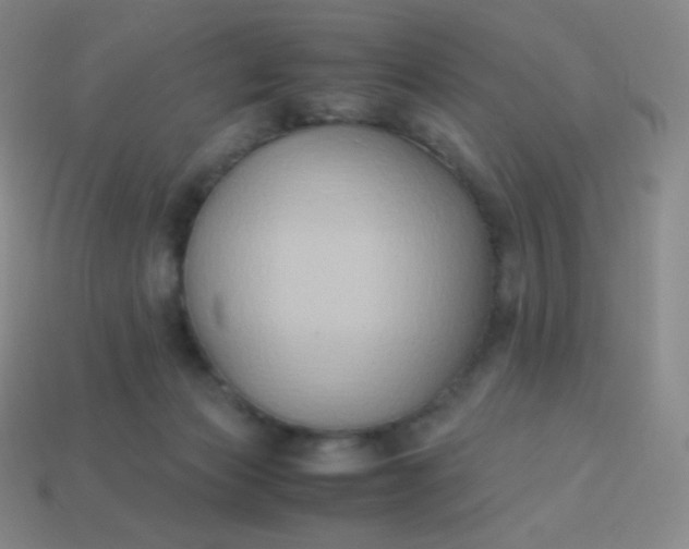 X0000113950173200910091616
