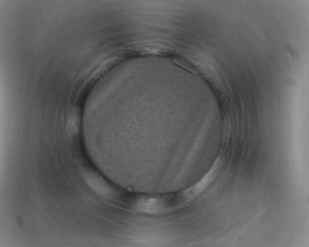 X0000113950174200910091616
