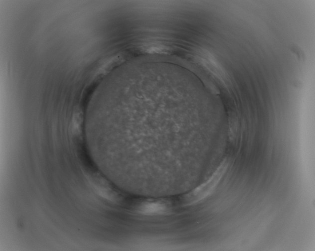 X0000113950175200910091616