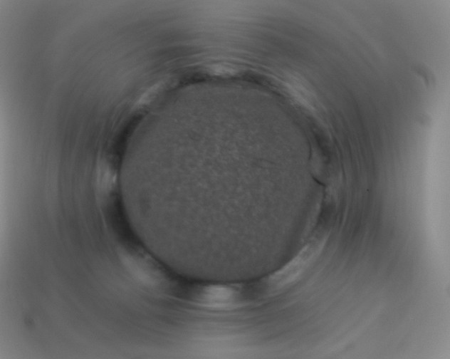 X0000113950176200910091616