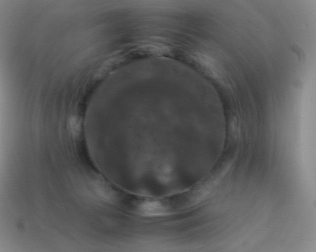 X0000113950177200910091616