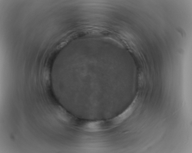 X0000113950178200910091616