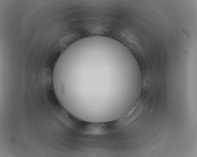 X0000113950179200910091616