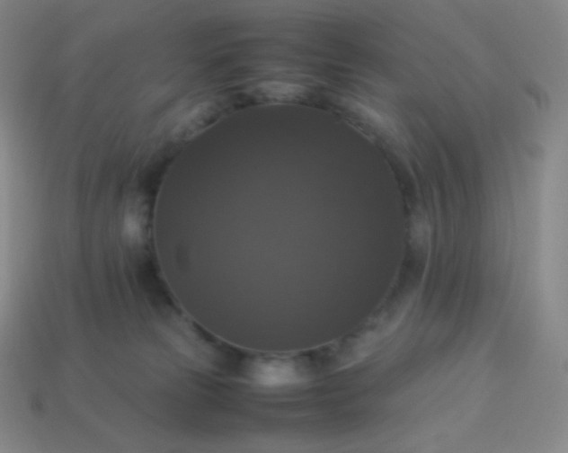 X0000113950181200910091616