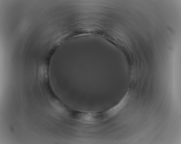 X0000113950182200910091616