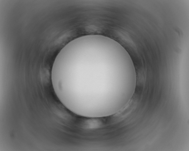 X0000113950183200910091616