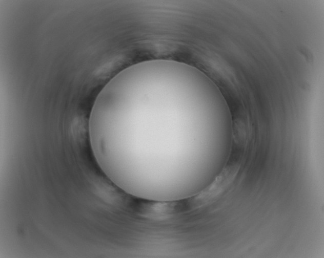 X0000113950184200910091616