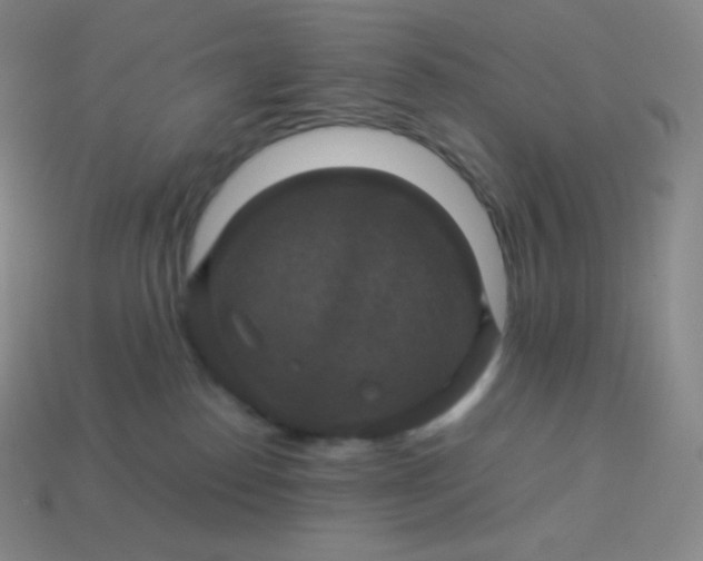 X0000113950186200910091616