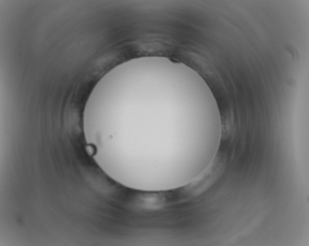 X0000113950187200910091616