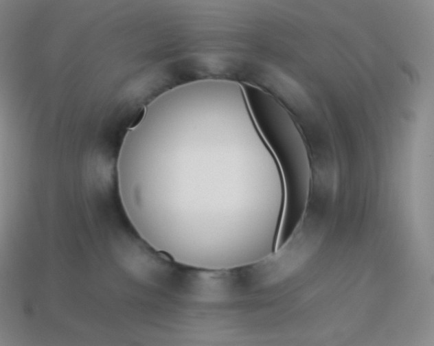 X0000113950188200910091616