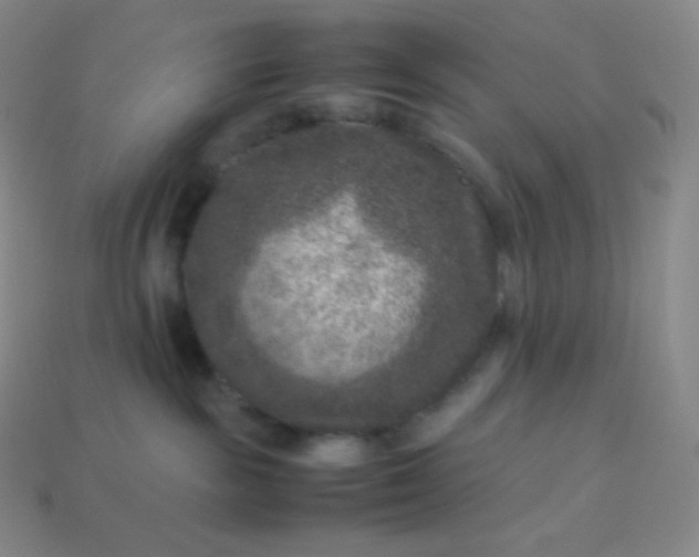 X0000113950189200910091616