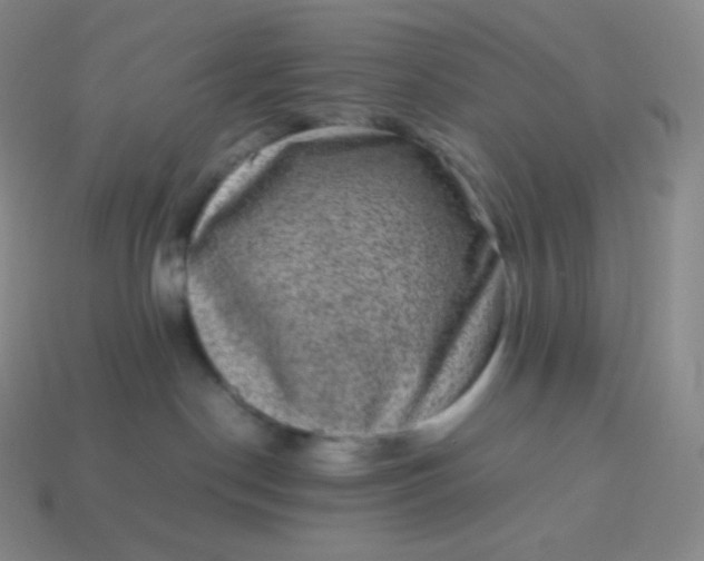 X0000113950190200910091616