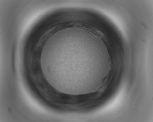 X0000113950191200910091616