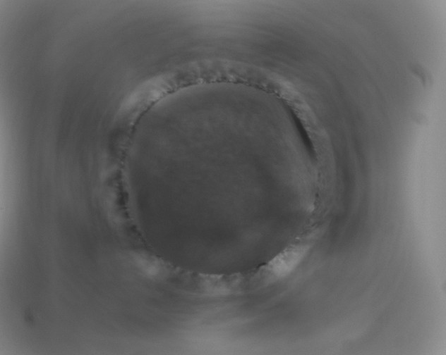 X0000113950192200910091616