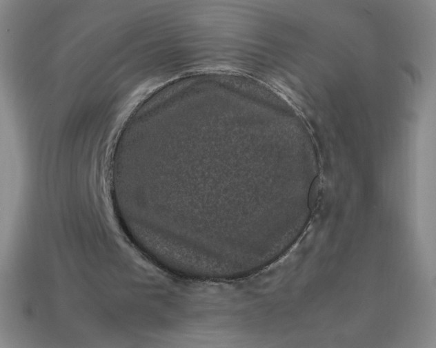 X0000113950193200910091616